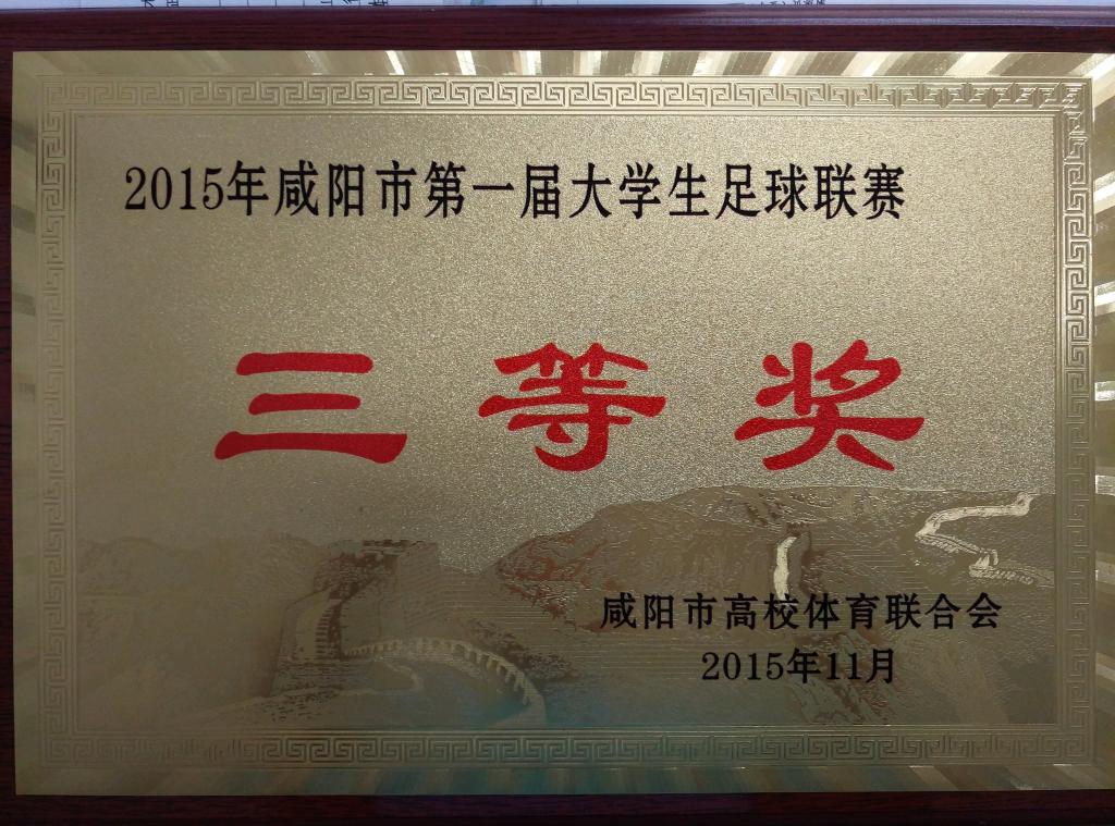 ​咸阳市第一届老员工足球赛三等奖