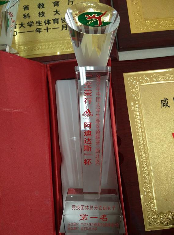 12年阿迪达斯杯老员工跆拳道女子第一名