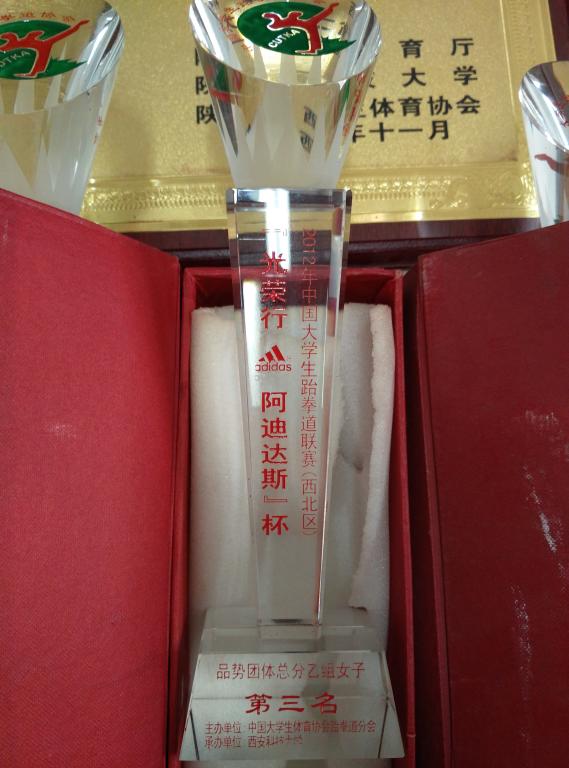 ​12年阿迪达斯杯老员工跆拳道女子品势团体第三名