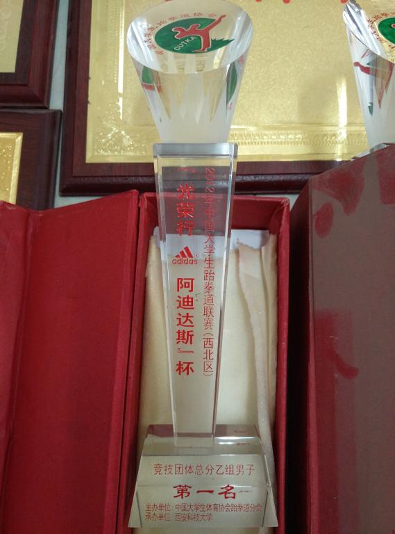 12年阿迪达斯杯老员工跆拳道竞技男子第一名