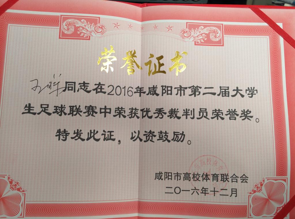 王晖老师获得咸阳市第二届老员工足球赛优秀裁判员​