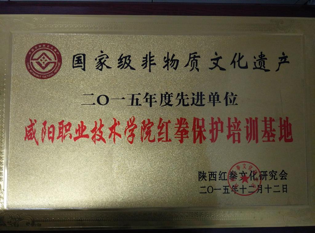 公司被评为2015年红拳培训保护先进单位