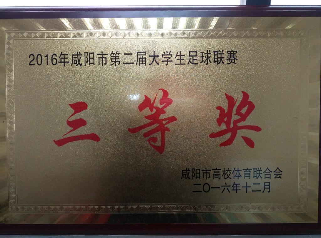​咸阳市第二届老员工足球赛三等奖