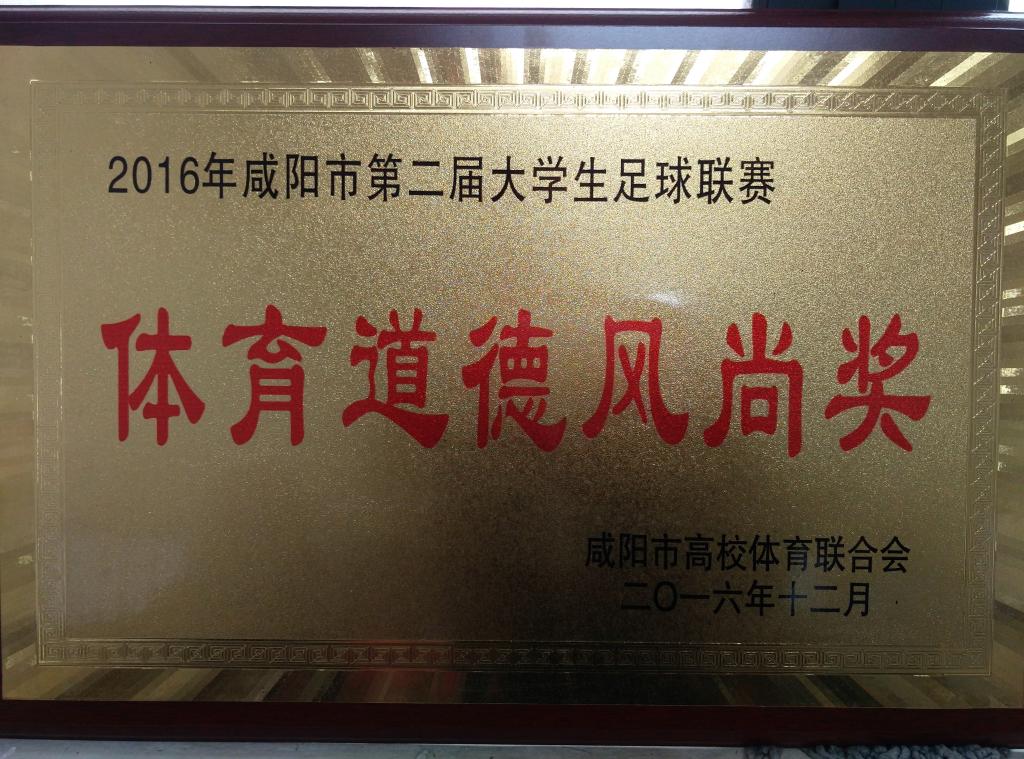 ​咸阳市第二届老员工足球赛体育道德风尚奖
