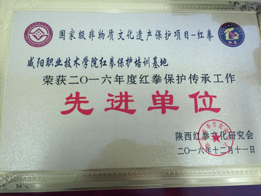 公司红拳保护基地荣获2016年传承工作优秀单位