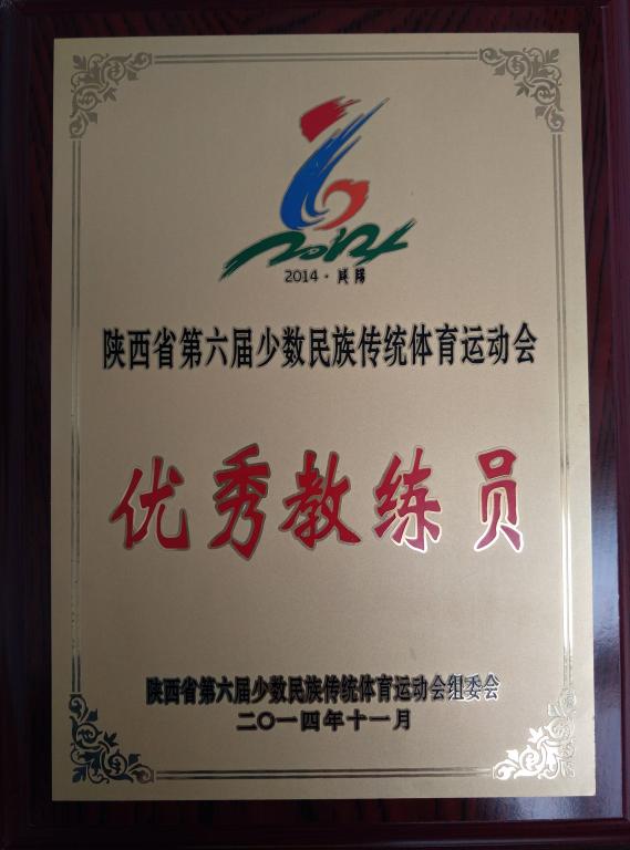 ​王晖同志荣获省第六届民运会优秀教练员