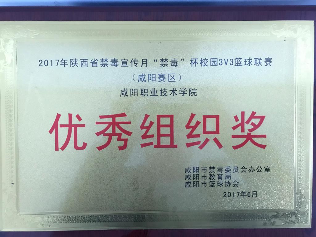 2017年禁毒杯3V3 优秀组织奖